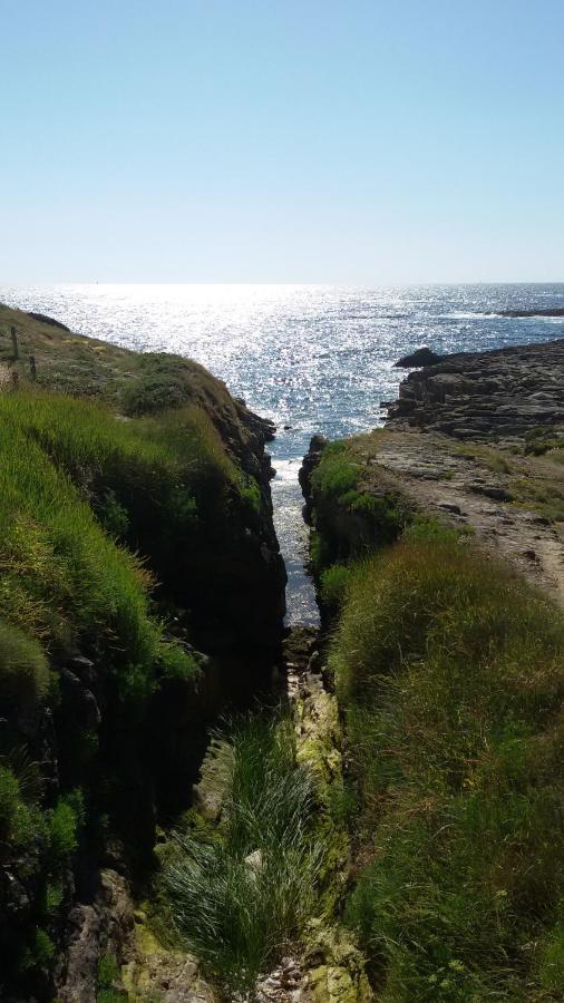 Ty Avel Studios 110 Et 111 Quiberon Kültér fotó